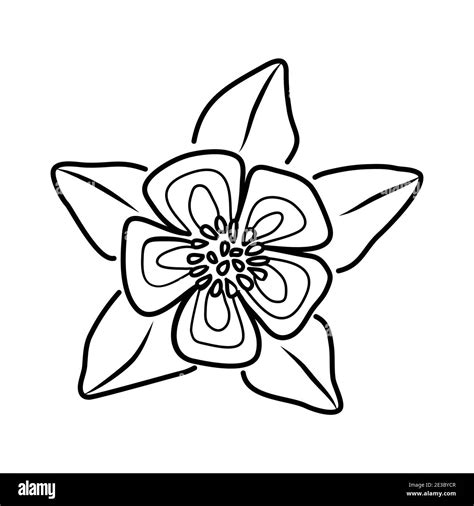 Columbine Flower Floral Hand Drawn Vector Design Illustration Sign