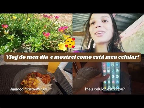 Vlog Do Meu Dia E Mostrei Como Est Meu Celular Youtube