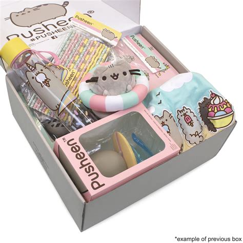 Fun For All Ages This Box Is A Must Have For Any Pusheen Fan With