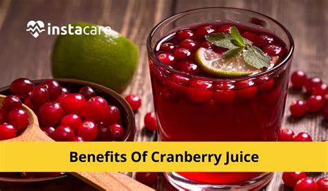 Cranberry Benefits For Hair In Hindi - Back Gardener