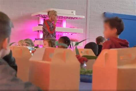 Rob Baan Pleit Voor Gratis Gezonde Schoollunches Groenten Fruit Actueel