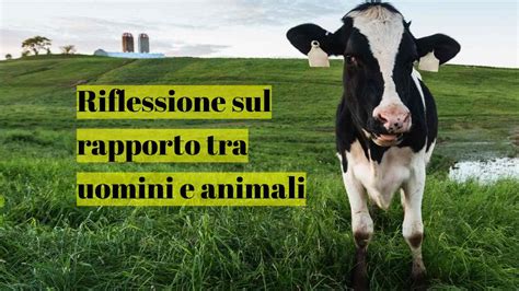 Benessere Animale Parte Tutto Dal Rispetto Ma In Che Senso