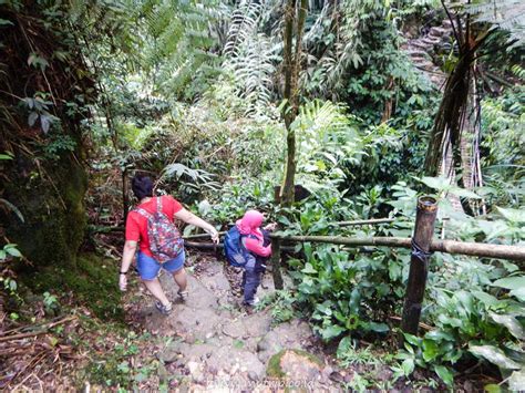 Panduan Lengkap And Terkini Ke Curug Kiara Di Pamijahan Bogor