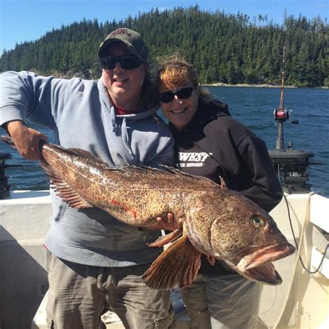 Salmon Lingcod Halibut Fishing Charters Port Mcneill Outside