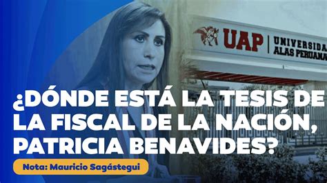 D Nde Est N Las Tesis De La Fiscal De La Naci N Patricia Benavides