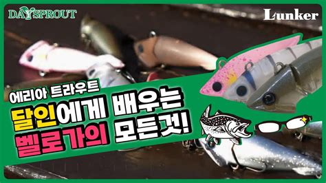 [DAYSPROUT] 달인에게 배우는 최강 바텀 루어 BELLOGA의 모든것! - YouTube