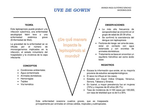 Organizadores Gr Ficos Mind Map