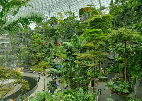 Guide to Jewel Changi Airport: All the best things to do | Honeycombers ...