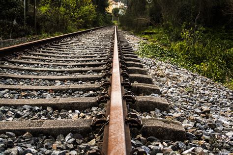 Banco De Imagens Floresta Pista Estrada De Ferro Trilho Trem