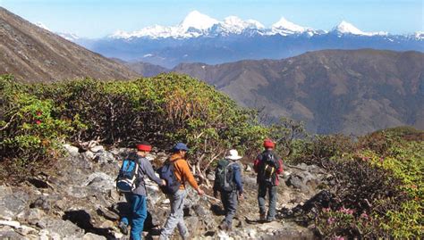 Bhutan Treks - Natural Focus