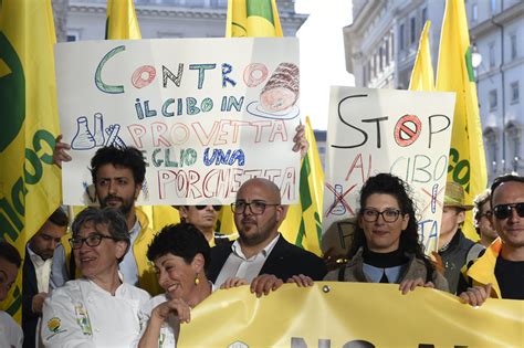 No Al Cibo Sintetico Coldiretti Salvi Miliardi Di Made In Italy