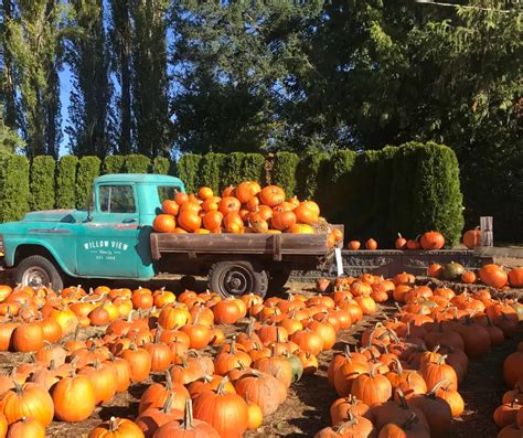 The Best Pumpkin Patches In Utah For Families It S Fall Y All