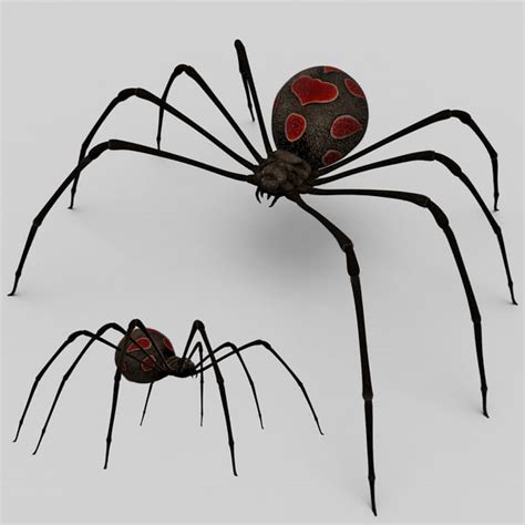 Opiniones de Latrodectus mactans