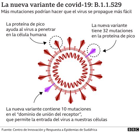 Micron Qu Es La Epistasis Y Por Qu Es La Clave Para Entender Qu