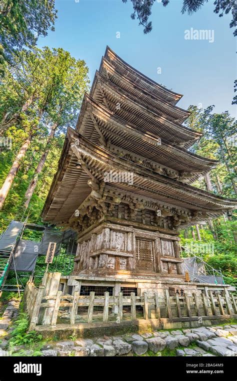 Five Story Pagoda Surounded By Sugi Trees At Mount Haguro One Of The