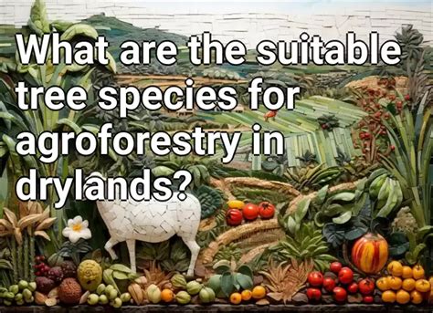 What are the suitable tree species for agroforestry in drylands ...