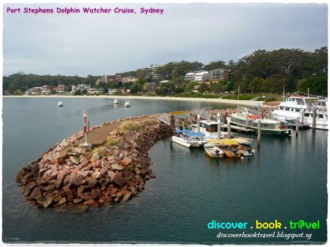 Chasing Dolphins At Port Stephens Sydney Discover Book Travel