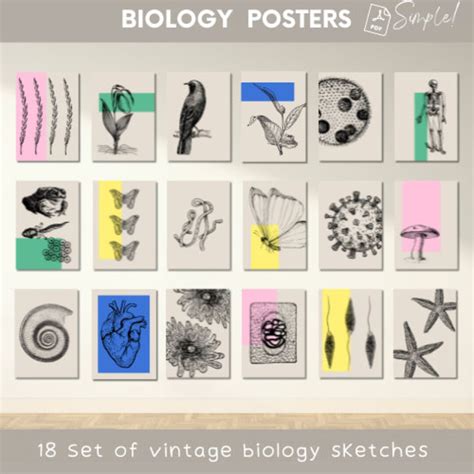 Biology Classroom Wall Art Poster Set of 18 Biology Science Printables ...