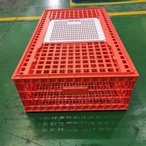 Live chicken transport cages sale Poultry plastic transfer Basket