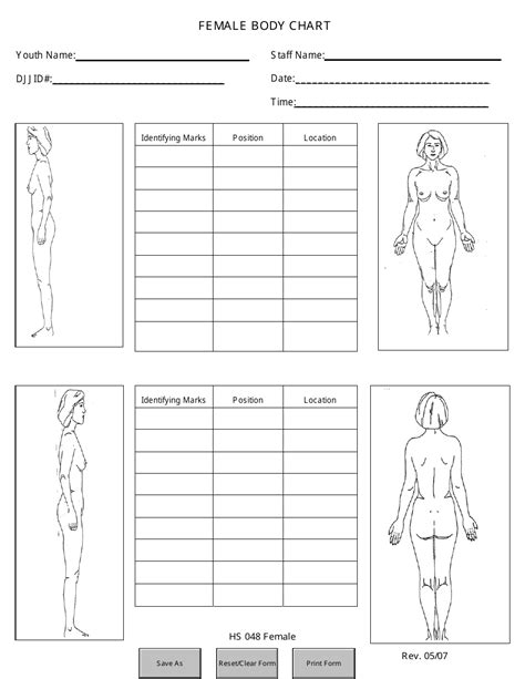 Printable Blank Body Chart