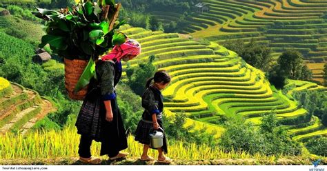 Z Hanoi Dniowa Wycieczka Trekkingowa Sapa Z Transferem Limuzyn