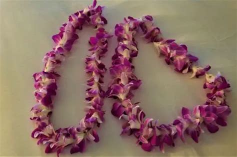 Top Best Luaus On Oahu A Guide To The Most Authentic Hawaiian