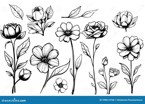 Collection Hand Drawn Plants Botanical Set Of Sketch Flowers And Branches Stock Vector