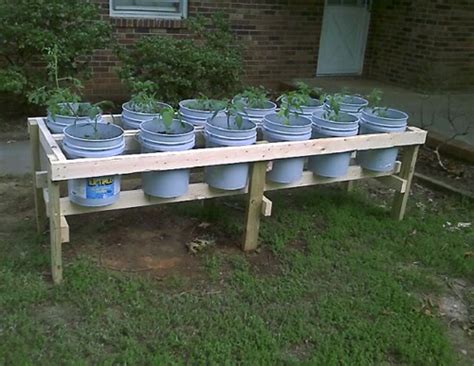 DIY Plastic Bucket Raised Garden Bed