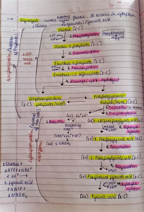 It Helps You To Understand Glycolysis Pathway In Easy Way Hope It