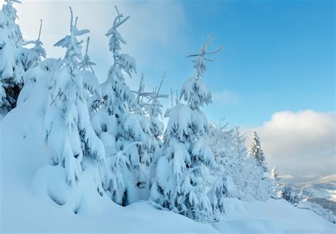 Premium Photo Winter Ukrainian Carpathian Mountains Landscape