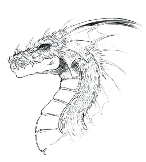 Chinese Dragon Face Drawing at GetDrawings | Free download