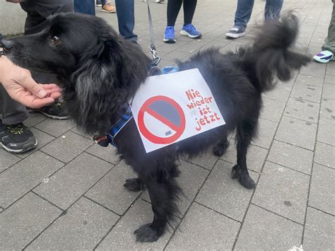 Hilden Das Stand Auf Den Plakaten Der Demonstranten