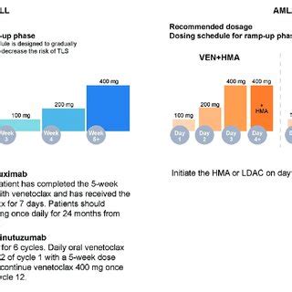 Neutropenia and Febrile Neutropenia in AML Patients Treated With ...