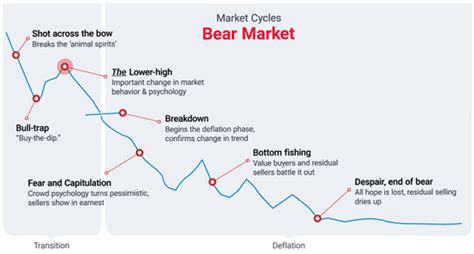 Markets Cycles What They Are And How To Trade Them IQ Option Broker