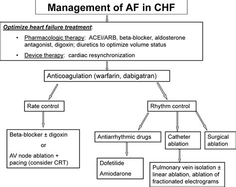 Management Of Atrial Fibrillation In Patients With Structural Heart