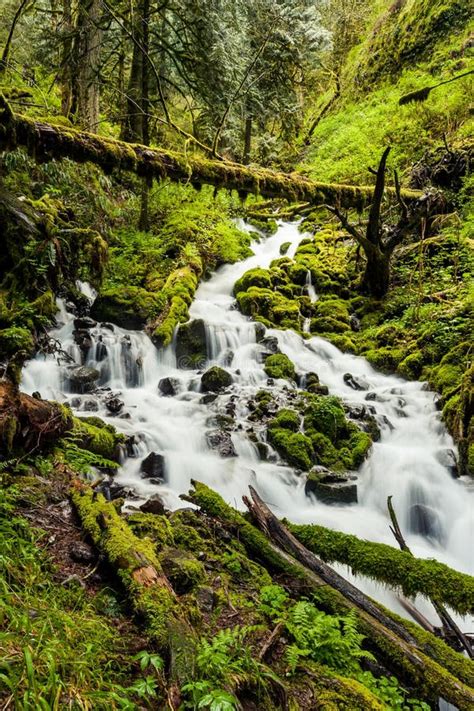 Cascade Waterfalls in Oregon Forest Hike Trail Stock Photo - Image of ...