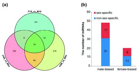 Differentially Expressed Mirnas A The Venn Diagram Of De Mirnas