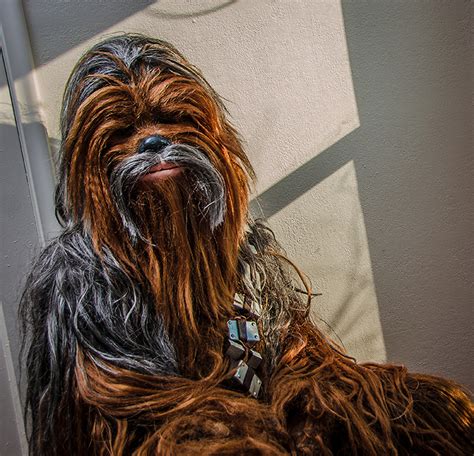 Genetic Engineers Have Successfully Bred a Wookiee! - Faking Star Wars