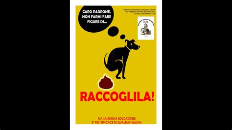 Riunione Settimanale Del Comitato Attivisti Siracusani Proposta