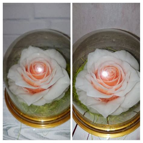 Мыло в куполе