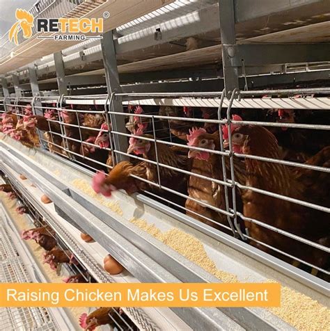 Automatic H Type Layer Battery Chicken Cage In Kenya China Chicken