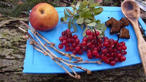 Испытания печки щепочницы и лесной чай. - YouTube