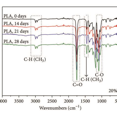 Dsc Thermograms Of The Pla Samples With Different In Vivo Exposure Times Download Scientific