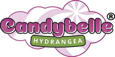 Hortensia - CANDYBELLE - Bubblegum