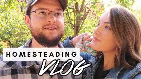 Homesteading Vlog Making Off Our Land Youtube