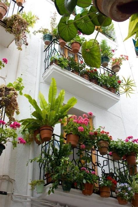 Balkon bepflanzen: Diese Tipps retten Sie vor Enttäuschung | Small ...
