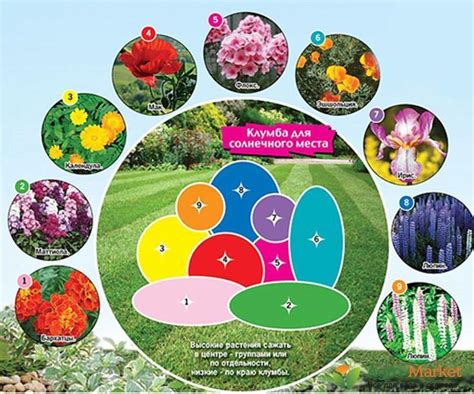 Календарь работ цветочника на июнь: 7 эффектных схем дизайнерского ...