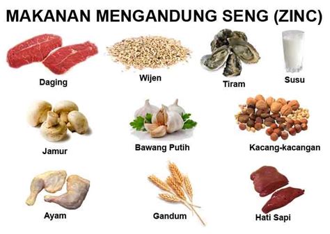 Makanan Untuk Tingkatkan Testosteron Sfidn Science From Indonesia