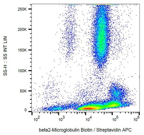 Beta 2 Microglobulin抗体 B2m 01 Abcam中文官网