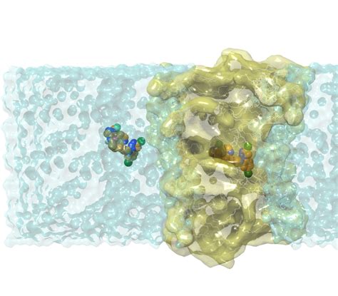 Membrane Permeability | Schrödinger